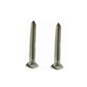 Stainless Steel Metric Slotted Raised Countersunk Head Self Tapping Screws