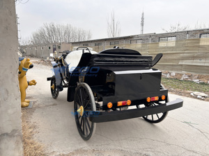 Carrosse de Victoria électrique pour le tourisme et les mariages, transport spécial, prix usine, à vendre - Product Image 3