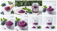 Groothandel Bulk 100% Zuivere Natuurlijke Voedingskwaliteit Blauwe Bes Fruitpoeder Instant Vriesgedroogd Oplosbaar Trommelverpakking