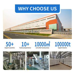 프리미엄 친환경 간편 세척 식물성 녹차 강력 응고 두부 고양이 모래 6L 백 - Product Image 5