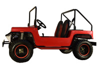 Voiturette de Golf à essence, 200cc, Mini Jeep, 2x4, 4x4, ATV, Buggy pour adulte