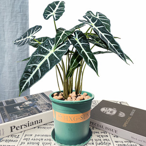 Tanaman Hijau Buatan KH Outdoor Custom ft, Daun Sea <span class=keywords><strong>Taro</strong></span> Palsu untuk Dekorasi Rumah dan Hotel - Product Image 3