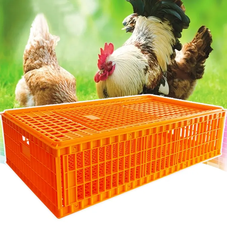 鶏肉輸送クレートプラスチックアヒルガチョウライブ家禽