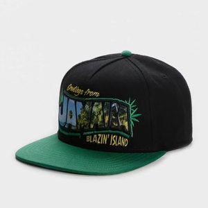 Made in Vietnam this sports Trucker Hat is a Retro Hip Hop Street style flat Brimmed Hat with new Trendy color blocking design - Product Image 2