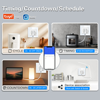 Prise Murale Intelligente Wi-Fi Standard UE 110-250V 16A avec Télécommande APP et Commande Vocale pour la Maison