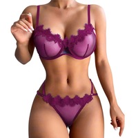 Usine En Gros Dames Soutien-Gorge Ensemble Deux Pièces Sans Couture Sexy Chaud Érotique Sans Bretelles Soutien-Gorge Strings Transparent Dentelle Respirant Conception