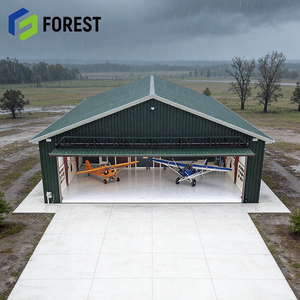 Hangar de Acero de Gran Envergadura, Resistente al Fuego, para Aviones Privados, Calidad de Exportación, Precio de Fábrica - Product Image 1