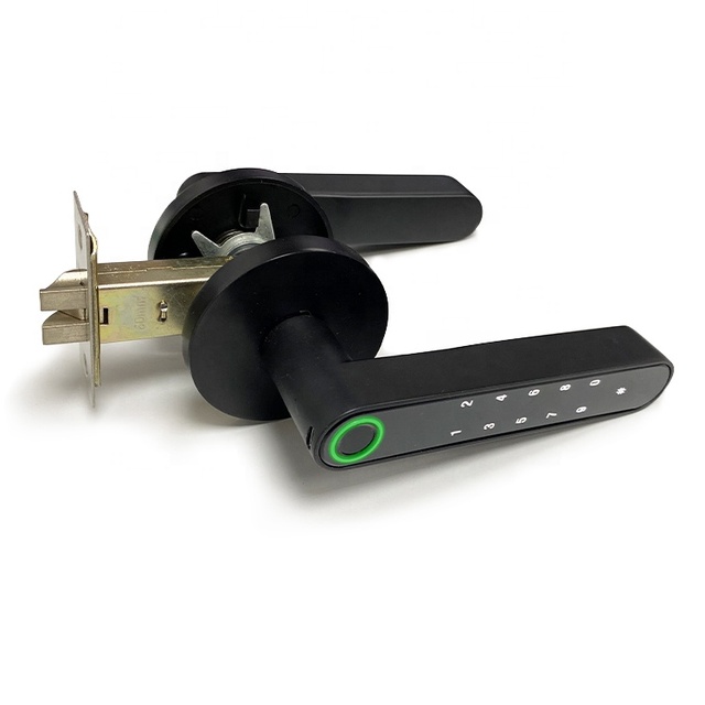 Tuya App Smart Door Lock Biometric Fingerprint Zinc Alloy Digital Keyless Lock for Wood & Aluminum Doors