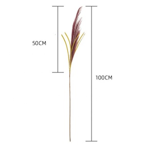 Fausses fleurs Super Star bon marché, roseaux artificiels <span class=keywords><strong>de</strong></span> couleur violette, <span class=keywords><strong>herbe</strong></span> <span class=keywords><strong>de</strong></span> <span class=keywords><strong>pampa</strong></span> pour <span class=keywords><strong>la</strong></span> décoration <span class=keywords><strong>de</strong></span> mariage, L-315 - Product Image 3