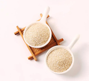 西洋ワサビ粉末大連西洋ワサビエキス粉末中国サプライヤー - Product Image 2