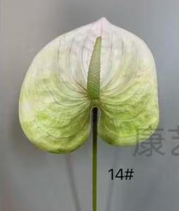 أنثوريومز اصطناعي بلمسة حقيقية زهرة جافة واحدة لديكور حفلات الزفاف نباتات بو الزخرفية ، أنثوريومز - Product Image 6