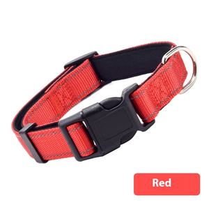 Verstelbare Kleine Middelgrote Kraag Bijtvastheid Nylon Levering Lichtgevende Kraag Solide Groothandel Huisdier Benodigdheden Voor Honden - Product Image 5