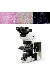 <strong>Olympus</strong> BX43FC Biological <strong>Trinocular</strong> <strong>Microscope</strong> LED Illumination IP53 Rating 1920x1080 Resolution Manual Focus 15d Dioptric 1 - Product Image 4