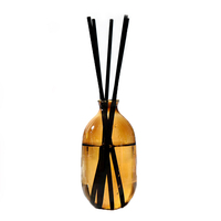 Offre Spéciale pas cher fait à la main Double paroi cône forme verre roseau diffuseur bouteille parfum diffuseur verre bourgeon Vase