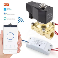 Vente directe d'usine DN08-DN50 Vanne solénoïde en laiton à commande à distance par téléphone portable Fonction Wi-Fi Normalement fermée pour le contrôle de l'eau