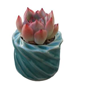 Nouveaux pots en céramique effet glace craquelée pour plantes succulentes, mini-contenants minimalistes, respirants, frais et mignons pour les plantes vertes et les <span class=keywords><strong>lithops</strong></span> - Product Image 6
