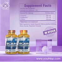 BCAA 500mg 2:1:1 en Cápsulas de Gelatina Halal, Garantía de Calidad, Pre y Post Entrenamiento para Fisicoculturistas, Disponible Ahora, Botella de 240 Cápsulas