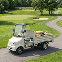 Vehículo Utilitario para Campo de Golf de 4 Ruedas, Cero Emisiones, Camioneta Eléctrica para Campo de Golf con Plataforma de Carga para Resort, OEM, Personalizado, Exportación