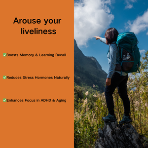 Не содержит фосфатидилсерина соевого происхождения (150 мг), поддерживает здоровье мозга - Product Image 2