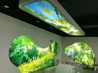 ZHIHAI — design de plafond en pvc du bangladesh, nouveau design pop de dubaï