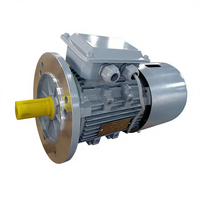 Moteur électrique asynchrone triphasé antidéflagrant YEJ Série 1,5 kW 380 V 50/60 Hz à 2 pôles avec commande de vitesse et fixation au sol