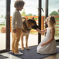 Tapis d'entrée toutes saisons en polyester imperméable et lavable, tapis de sol commercial robuste, résistant à la décoloration, avec dos en caoutchouc, profil bas