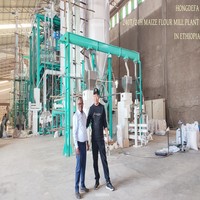 Moulin à maïs entièrement automatique 240T en acier inoxydable 304 à haute efficacité avec moteur et roulement pour le marché éthiopien