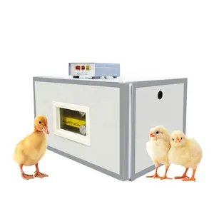 Equipo para incubar huevos de granja de aves de corral, Incubadora automática de huevos de pollo