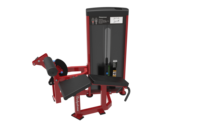 2024 Bodystorm fitness Commercial Gym équipement de fitness Leg Extension Prone Curl combo