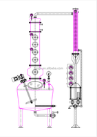 ZJ 100L 200L nouveau pot encore whisky distillation machine prix bulle plaque encore cuivre alcool distillateur à vendre