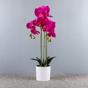 B0042 Flores <span class=keywords><strong>de</strong></span> Orquídeas Artificiales al por Mayor, Plantas <span class=keywords><strong>de</strong></span> Orquídeas Tailandesas, Plantas <span class=keywords><strong>de</strong></span> Flores Artificiales, Orquídeas Phalaenopsis Decorativas Hechas a Mano - Product Image 6