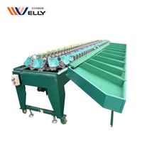 Fruit wassen en sorteren machine/mangosteen sorteermachine/fruit sorteren transportband