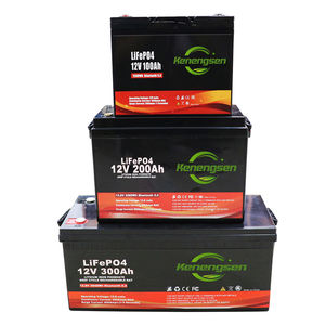 Batería LiFePo4 Personalizada de 12V 24V 48V 100AH 200Ah 300Ah 400Ah, Sistemas de Almacenamiento de Energía Solar - Product Image 6