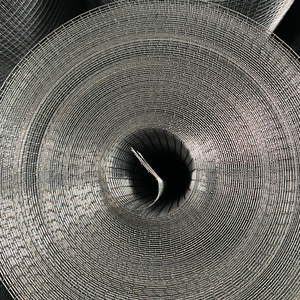 Hot bán bwg18 2x4cm Thiết kế hiện đại thép không gỉ hàn dây lưới CuộN - Product Image 5