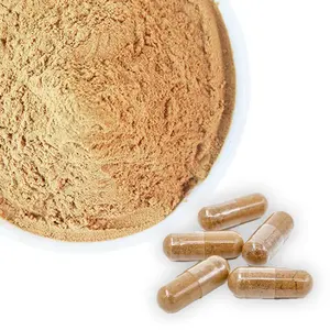 ผงเมล็ดฟีนูกรีกธรรมชาติบริสุทธิ์100% แคปซูลผงเมล็ดฟีนูกรีกจาก10:1ผงฟีนูกรีกออร์แกนิก - Product Image 5