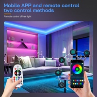 Barres lumineuses LED flexibles intelligentes pour la maison, 5050 SMD, 220V 110V, 50M, étanches IP65, bandes LED RGB