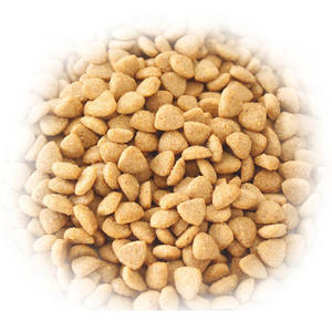 Machine de transformation d'aliments pour animaux de compagnie, extrudeuse de granulés d'aliments pour chiens, ligne de production avec moteur, pompe PLC 380V - Product Image 6