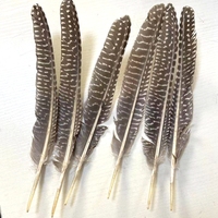 Plumes naturelles de 17 à 25 cm en gros, plumes d'ailes de poulet de Guinée, plumes de coq, plumes de pointe, plumes de plumeau pour décorations de mode