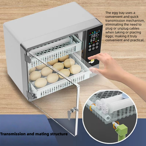 Incubadora de Huevos Totalmente Automática para 24 Huevos, Doble Fuente de Alimentación, Volteo Automático, Control de Temperatura, Alta Tasa de Incubación para Huevos de Ganso y Codorniz - Product Image 2