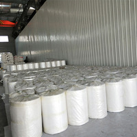 Bande transporteuse en PVC enduit de tissu pour la gestion du fumier, pour cages à poulets, longueur et largeur personnalisées, pour l'élevage avicole et le nettoyage du fumier