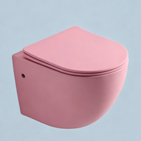 WC suspendu sans bride couleur mate, WC flottant en céramique avec abattant à fermeture douce, couleur personnalisée pour hôtel, villa, vente en gros OEM