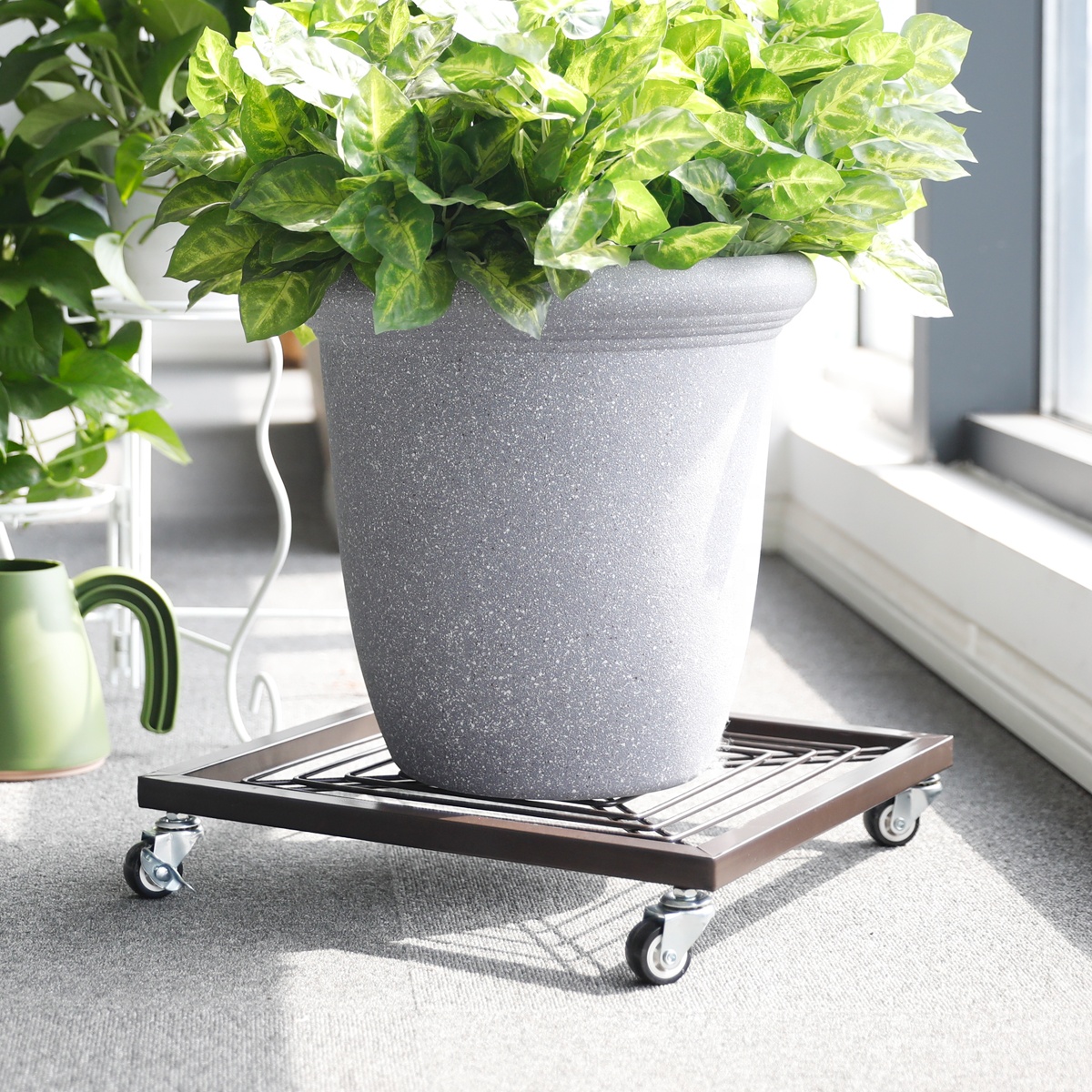 Carrello Portavasi Con Ruote In Plastica Resistente, Sottovaso Rotondo Mobile Per Piante Grandi E Piccole, Interno/esterno, 5 Misure Disponibili - 2