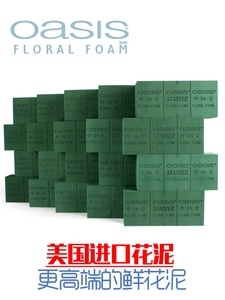 Bloque de Espuma Floral Oasis Verde para Arreglos Florales, Bloque de Arcilla para Flores, Espuma Floral - Product Image 2