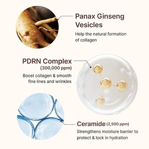 เซรั่มบำรุงผิวหน้า PDRN Firming Boosting Ampoule 300000 Ppm สำหรับผู้หญิง ผลิตในเกาหลี - Product Image 5