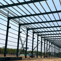 Officina e Magazzino in Struttura d'Acciaio Prefabbricata, Parti Prefabbricate per Installazione Rapida e Consegna in Loco