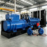 Générateur diesel triphasé refroidi par eau 10kW-3000kW 230V 400V 415V 480V 11kV 13.8kV AVR IP55 CE ISO9001