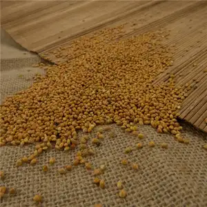 Bird Food Millet Unhulled Broom Corn Millet With Nice Price Yellow Millet