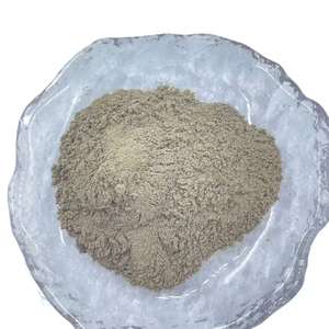 Порошок листьев лопуха обыкновенного (Брахми) 99% чистоты, пищевой, вакуумная упаковка в барабанах и пластиковых контейнерах - Product Image 2