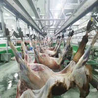 Ligne d'abattage de moutons halal Maisheng, machine d'abattage automatique de moutons pour abattoir de moutons