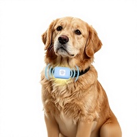Collier de suivi GPS en temps réel pour chiens et chats, étanche, style cordon, dispositif anti-perte à distance, alarme de suivi, localisateur intelligent pour animaux de compagnie